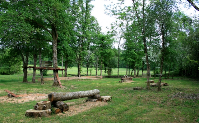 Curso de acrobacia forestal